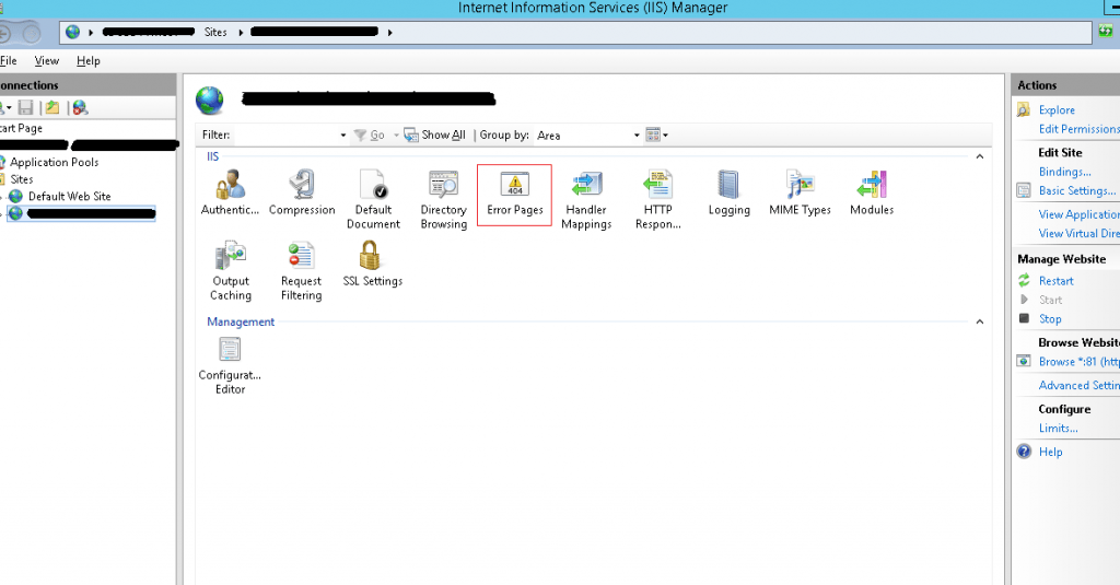 IIS Manager Console Screenshot